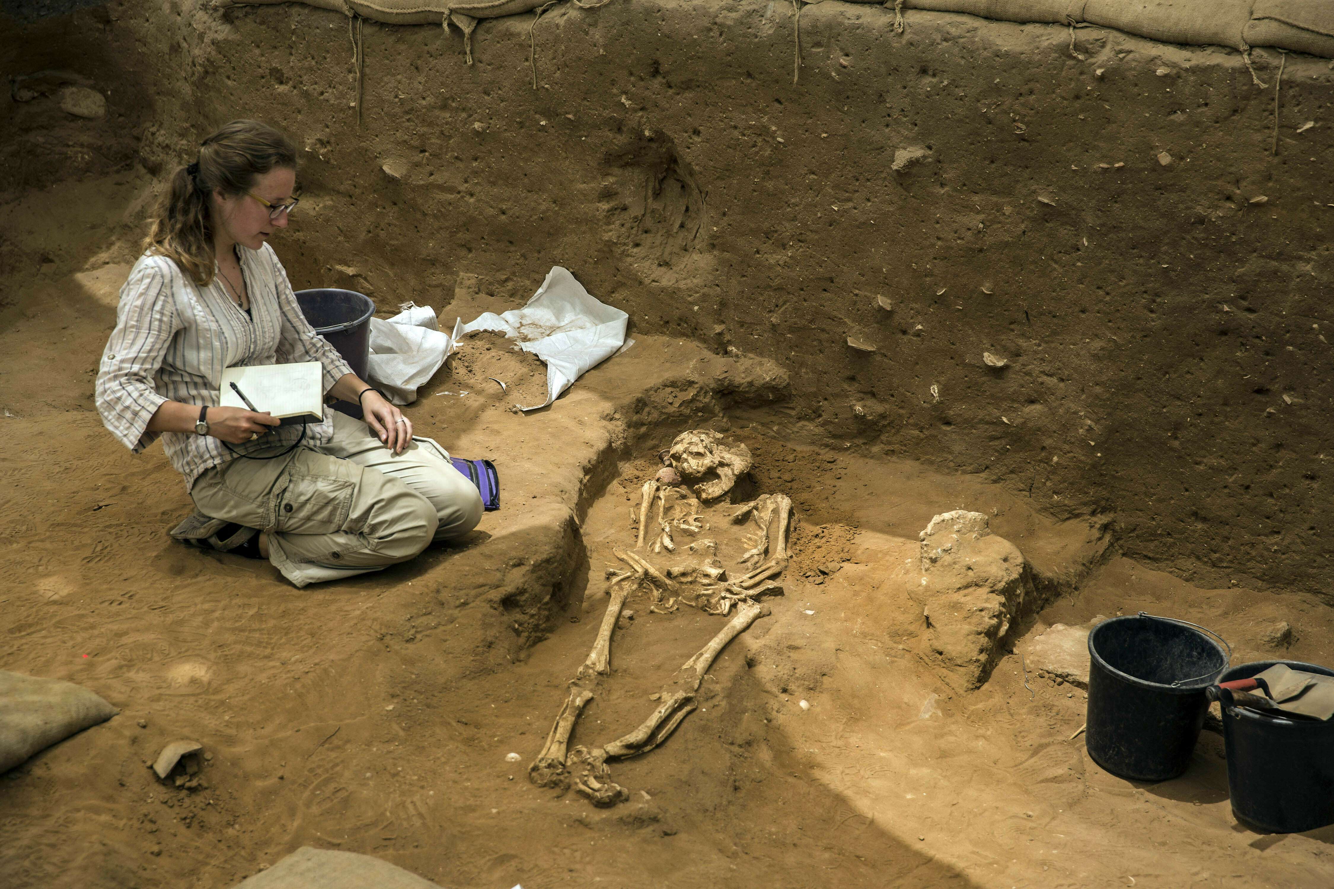 В 19 веке в колумбии археологи. Ученый археолог. Самые известные археологи. Литературные раскопки.